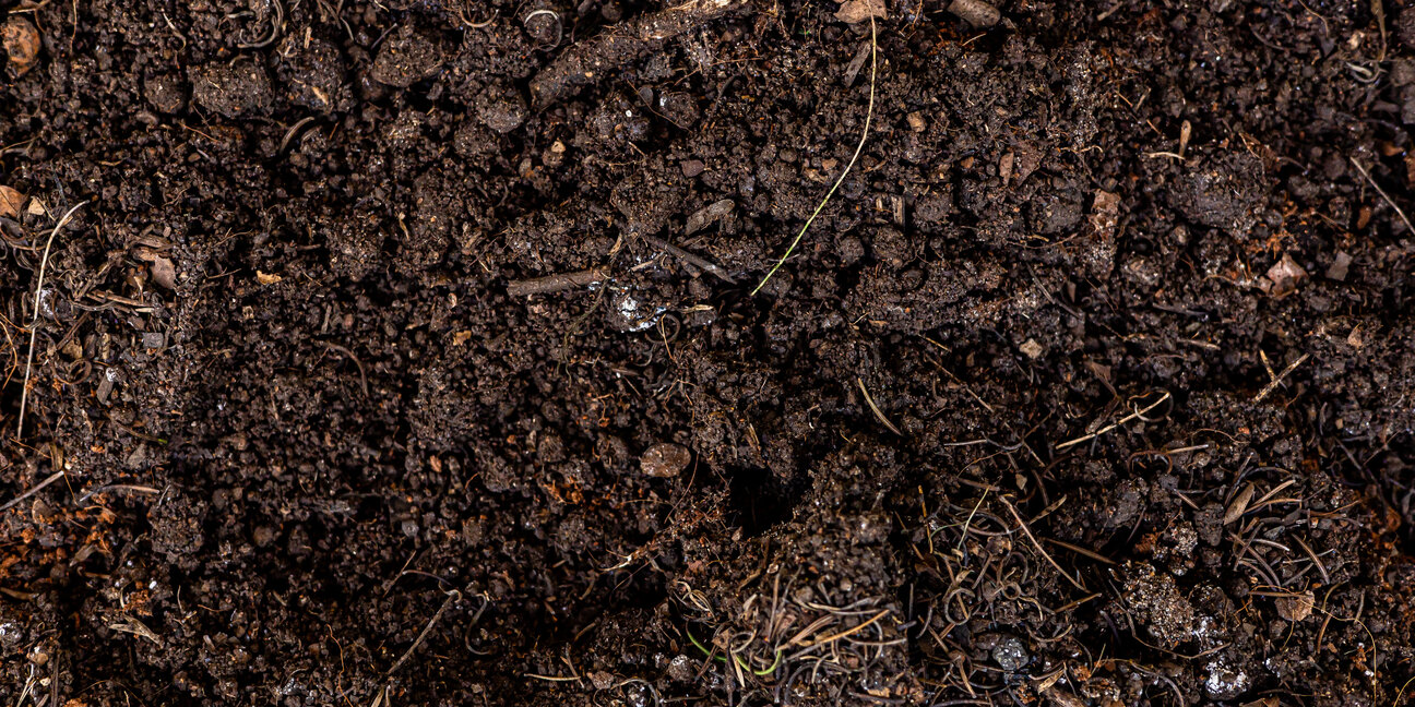 Close-up view of dark, rich soil, featuring granular textures and small organic materials. The surface is uneven, indicating a mixture of dirt, tiny roots, and decomposing matter, suggestive of fertile earth suitable for plant growth.