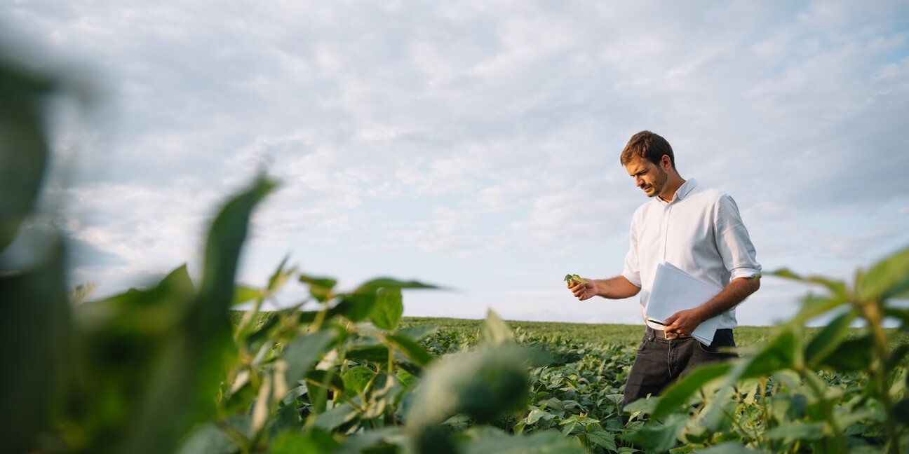 A man in a white shirt stands in a lush green field, examining a plant in one hand, while holding a notebook in the other. He appears focused and engaged in agricultural work, with a cloudy sky overhead.