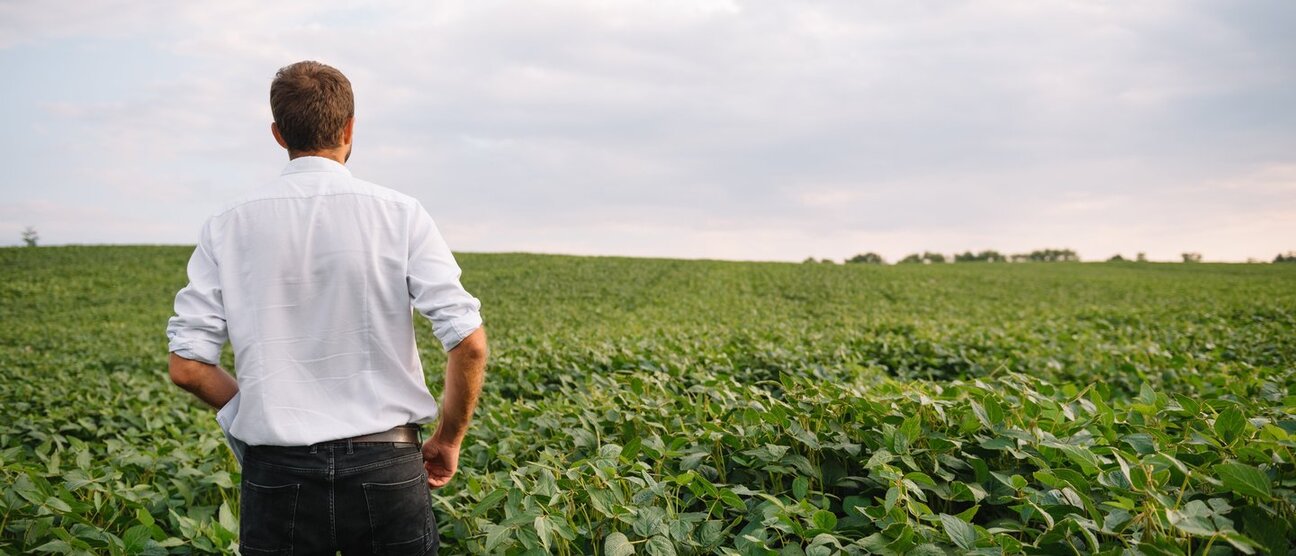 A man in a white shirt stands with his back to the viewer, looking out over a vast green field of crops under a cloudy sky. The scene conveys a sense of contemplation and connection to the land.