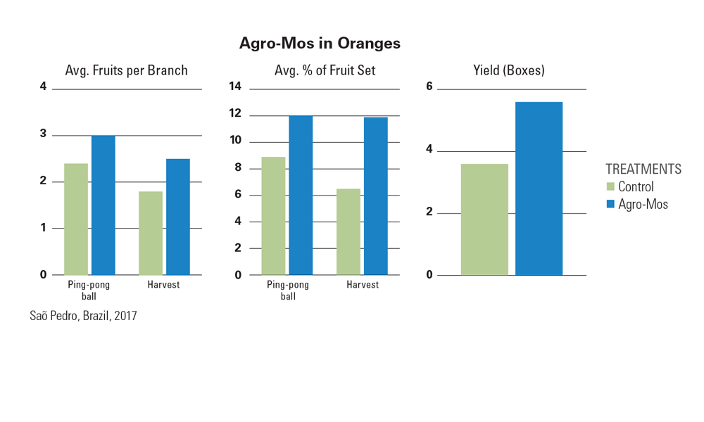 Bar graphs compare the effectiveness of "Agro-Mos" and "Control" treatments on orange trees in terms of average fruits per branch, percentage of fruit set, and yield in boxes. Data is from a study conducted in São Pedro, Brazil, in 2017.