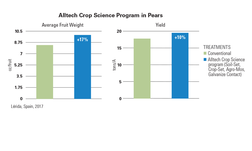The image presents a comparison of two treatments in pear cultivation: Conventional and Alltech Crop Science Program. It shows that the Alltech program resulted in a 17% increase in average fruit weight and a 10% increase in yield, based on data from Lleida, Spain, 2017.