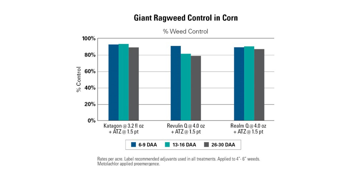 The image presents a bar graph comparing the effectiveness of three herbicides (Katagon, Revolin, Realm) on controlling giant ragweed in corn over three time periods (6-9 DAA, 13-16 DAA, 26-30 DAA), showing varying percentages of weed control.